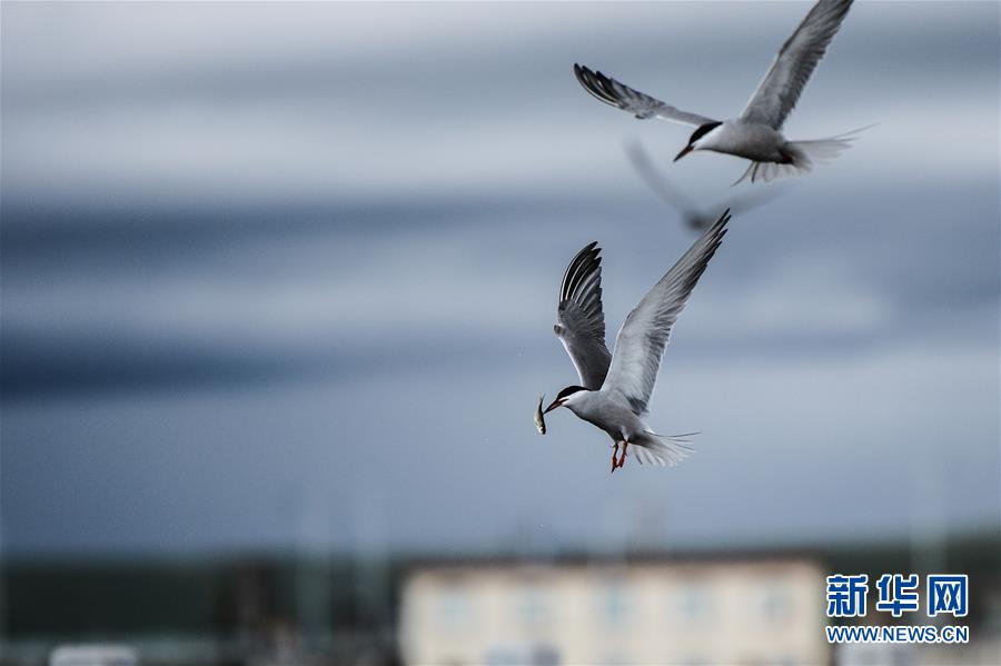 (圖文互動(dòng))(10)奏響新時(shí)代偉大復(fù)興的壯麗樂(lè)章——寫(xiě)在“中國(guó)夢(mèng)”提出五周年之際