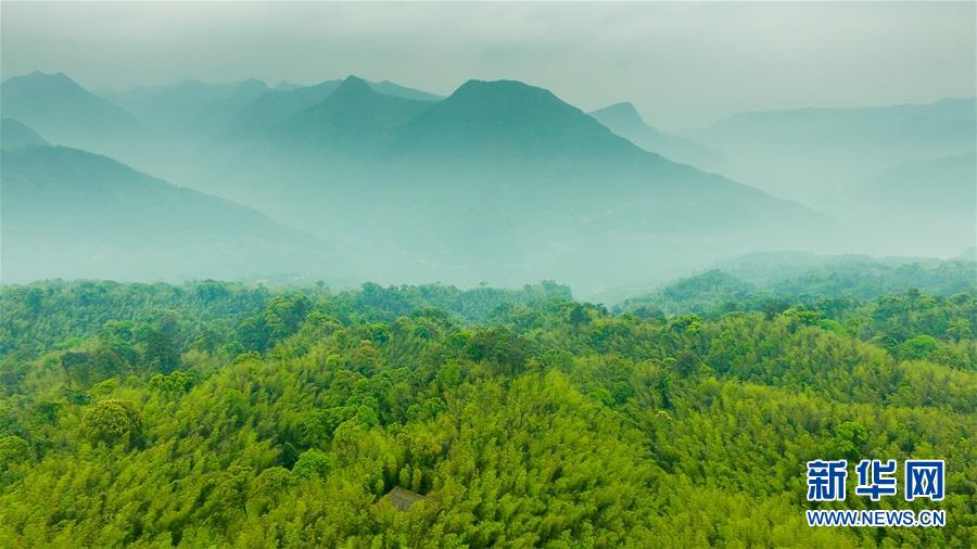 （新華全媒頭條&middot;圖文互動）（9）赤水：別了，貧困！