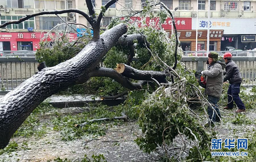 （新華全媒頭條）（7）雨雪冰凍中，他們奮力前行&mdash;&mdash;基層黨員干群抗擊冰雪災(zāi)害紀(jì)實(shí)