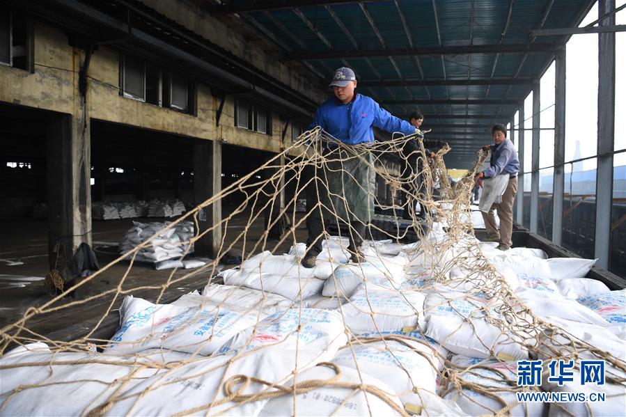 (新春走基層)(4)安徽:農(nóng)資“春運”助春耕