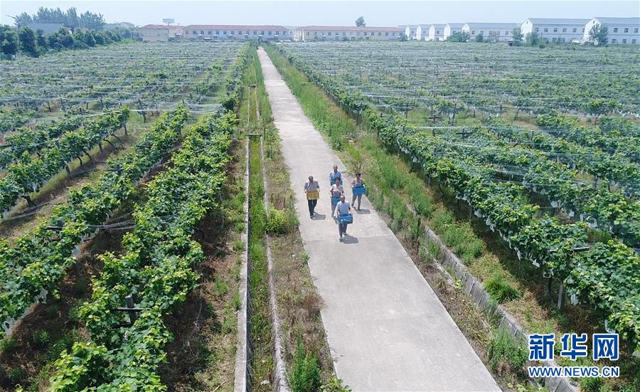 （新華全媒頭條&middot;紀(jì)念改革開(kāi)放40年特稿&middot;圖文互動(dòng)）（5）向著新航程揚(yáng)帆奮進(jìn)！&mdash;&mdash;從小崗精神看中國(guó)改革開(kāi)放40年