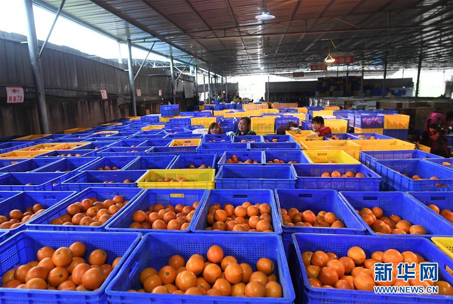 （新華全媒頭條&middot;習(xí)近平新時(shí)代中國特色社會主義思想在基層&middot;改革發(fā)展新氣象&middot;圖文互動(dòng)）（5）改革創(chuàng)新潮涌動(dòng) 激活發(fā)展新引擎