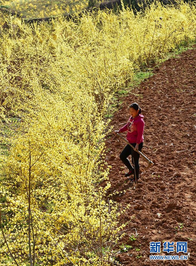 （新華全媒頭條&middot;習(xí)近平新時(shí)代中國特色社會主義思想在基層&middot;改革發(fā)展新氣象&middot;圖文互動(dòng)）（6）改革創(chuàng)新潮涌動(dòng) 激活發(fā)展新引擎