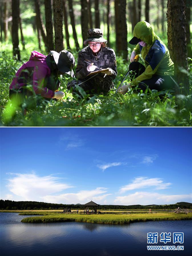 （新華全媒頭條&middot;圖文互動）（4）領(lǐng)航新時代中國經(jīng)濟航船&mdash;&mdash;從中央財經(jīng)領(lǐng)導(dǎo)小組會議看以習(xí)近平同志為核心的黨中央駕馭中國經(jīng)濟