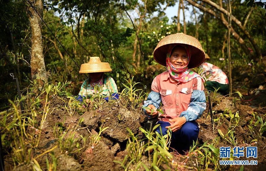 (新媒體專線)(6)立足獨(dú)特優(yōu)勢 勇立改革潮頭——習(xí)近平總書記在海南考察回訪記