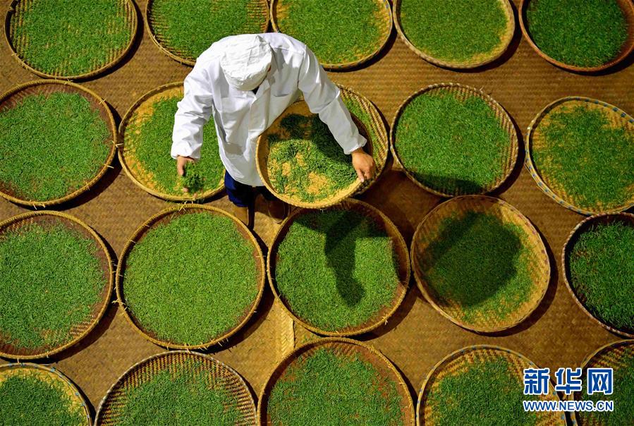 #（社會(huì)）（3）人間至味&ldquo;冷后渾&rdquo;