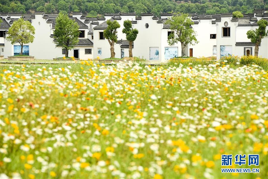 （新華全媒頭條&middot;搶救古民居&middot;圖文互動）（2）當(dāng)古民居遇上城鎮(zhèn)化，如何留住鄉(xiāng)愁？