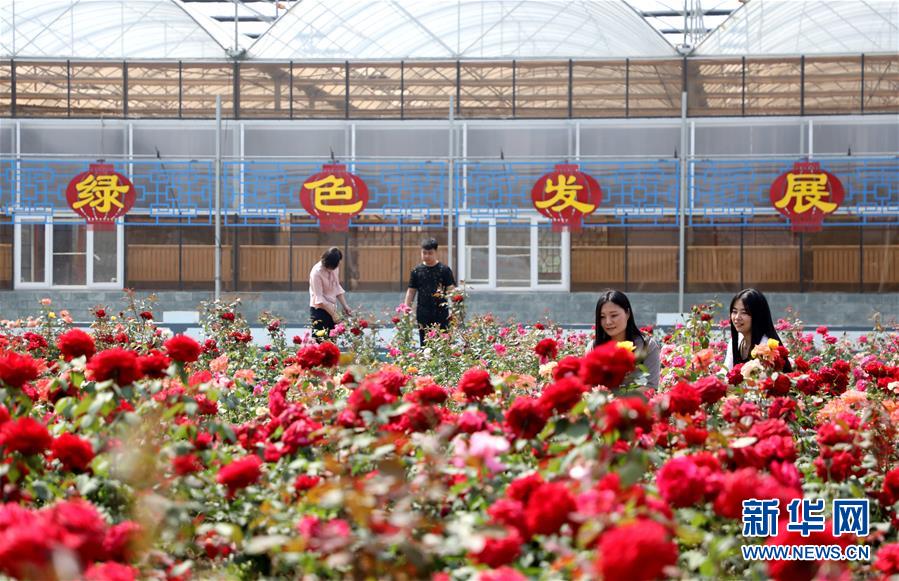 (社會(huì))(1)特色農(nóng)業(yè)休閑旅游助推鄉(xiāng)村振興