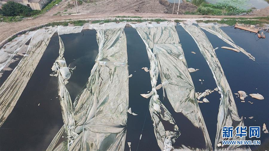 （新華視點&middot;圖文互動）（4）中央督察兩年有的絲毫未改，有的不減反增&mdash;&mdash;江蘇泰興數(shù)萬噸化工廢料和污泥堆放長江邊調(diào)查