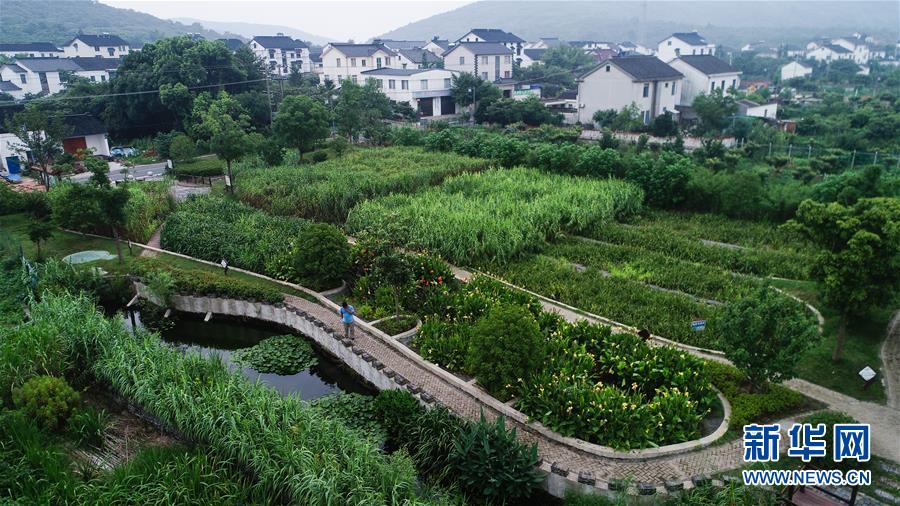 （在習近平新時代中國特色社會主義思想指引下&mdash;&mdash;新時代新作為新篇章&middot;圖文互動）（1）稀奇！治污濕地成了休閑公園&mdash;&mdash;江蘇蘇州全域推進農村生活污水治理
