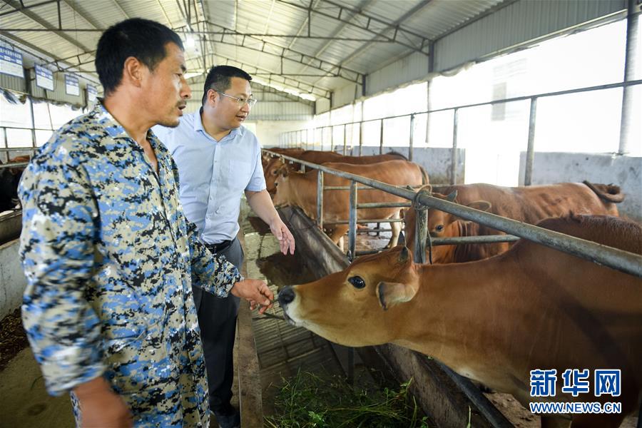 （脫貧攻堅(jiān)&middot;圖文互動(dòng)）（2）&ldquo;不畏難、不畏煩、不畏苦&rdquo;&mdash;&mdash;記&ldquo;80后&rdquo;扶貧干部李朝陽(yáng)