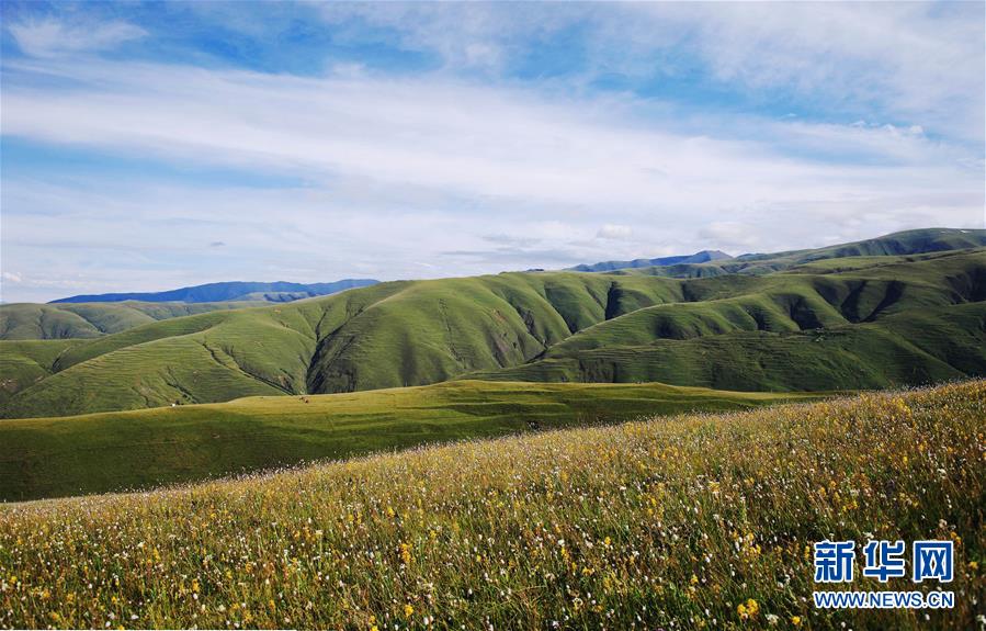 （環(huán)境）（7）白皮書：青藏高原地區(qū)仍然是地球上最潔凈的地區(qū)之一