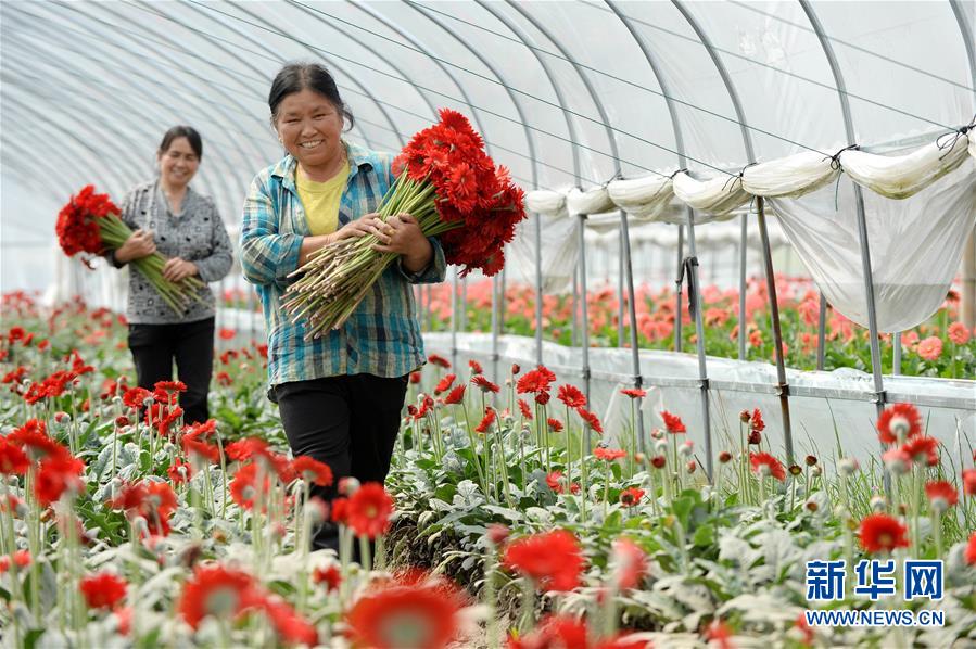 (大江奔流——來自長江經(jīng)濟帶的報道·新華全媒頭條·圖文互動)(3)擘畫新時代中國發(fā)展新坐標——深入推動長江經(jīng)濟帶發(fā)展述評