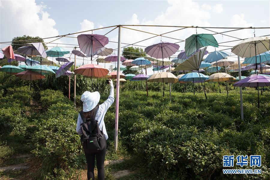 （大江奔流&mdash;&mdash;來自長江經(jīng)濟(jì)帶的報(bào)道&middot;圖文互動(dòng)）（4）在這里，做一個(gè)幸福的農(nóng)民