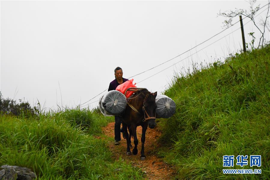 （新華全媒頭條&middot;圖文互動(dòng)）（4）一個(gè)人，一座山&mdash;&mdash;劉真茂的生命守望