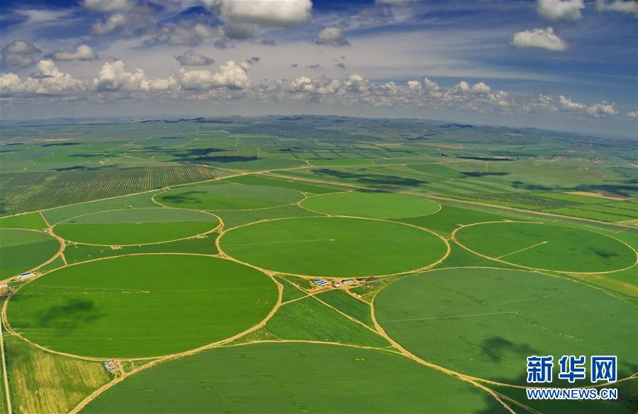 (經濟)(2)綠染塞北農田 展壩上現(xiàn)代農業(yè)新姿