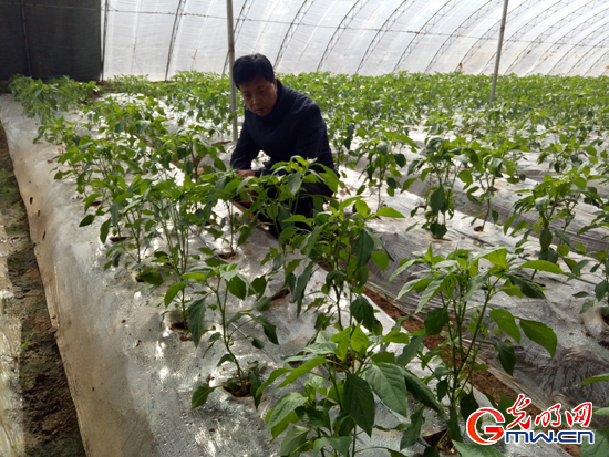 【脫貧攻堅在行動】全村聯(lián)名信留下好書記&mdash;&mdash;青海省城上村&ldquo;第一書記&rdquo;劉貴明這三年