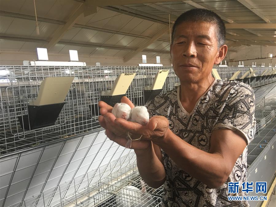 （新華全媒頭條&middot;在習(xí)近平新時(shí)代中國特色社會(huì)主義思想指引下&mdash;&mdash;新時(shí)代新作為新篇章&middot;圖文互動(dòng)）（10）綠富同興畫卷在沙海中鋪展&mdash;&mdash;庫布其沙漠生態(tài)治理紀(jì)實(shí)