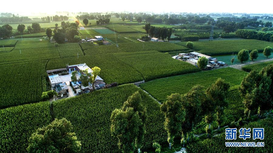 （壯闊東方潮 奮進(jìn)新時代&mdash;&mdash;慶祝改革開放40年）（13）感受&ldquo;毛烏素&rdquo;的生機(jī)