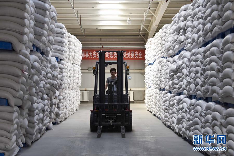 （新華全媒頭條&middot;圖文互動）（6）去新疆！穿越古今絲綢之路