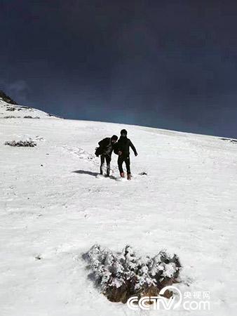 下雪天巡護也是常有的事。