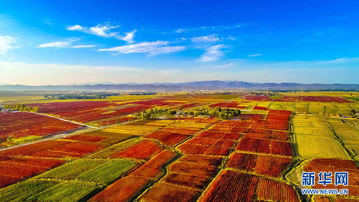秋收的中國，你想象不到的美！但更美的是&hellip;&hellip;
