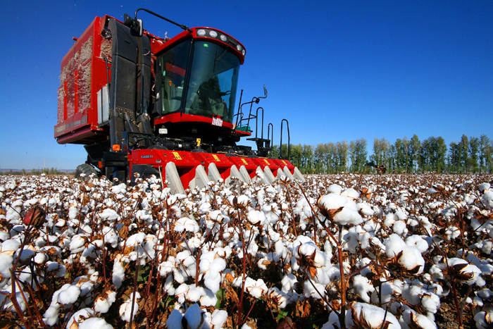 秋收的中國，你想象不到的美！但更美的是&hellip;&hellip;