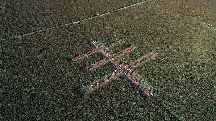 秋收的中國，你想象不到的美！但更美的是&hellip;&hellip;