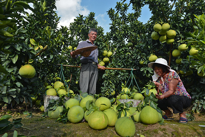 秋收的中國，你想象不到的美！但更美的是&hellip;&hellip;