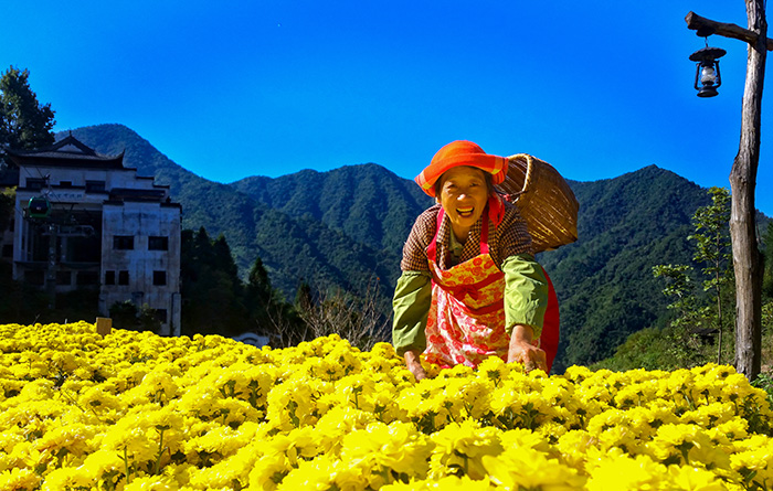 秋收的中國，你想象不到的美！但更美的是&hellip;&hellip;