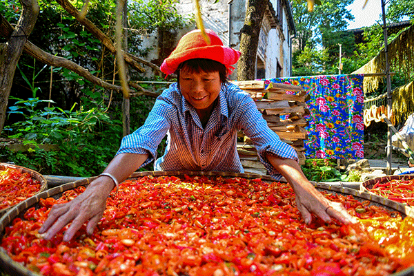 秋收的中國，你想象不到的美！但更美的是&hellip;&hellip;