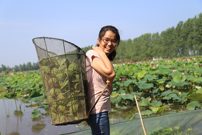 秋收的中國，你想象不到的美！但更美的是&hellip;&hellip;