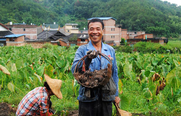 秋收的中國，你想象不到的美！但更美的是&hellip;&hellip;