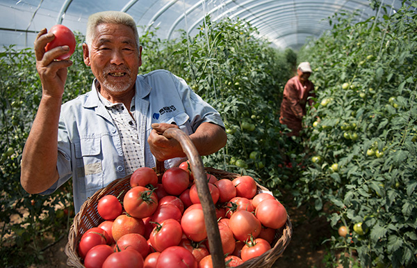 秋收的中國，你想象不到的美！但更美的是&hellip;&hellip;