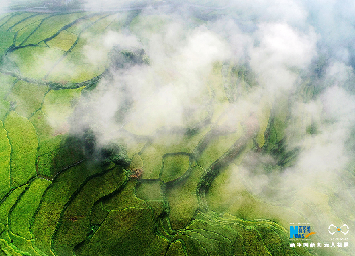 秋收的中國，你想象不到的美！但更美的是&hellip;&hellip;