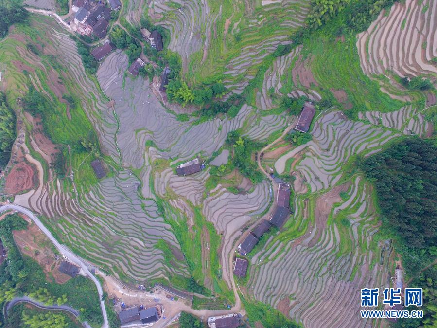 （新華全媒頭條&middot;圖文互動(dòng)）（7）最年輕的節(jié)日 最悠久的牽念&mdash;&mdash;寫給首個(gè)中國(guó)農(nóng)民豐收節(jié)