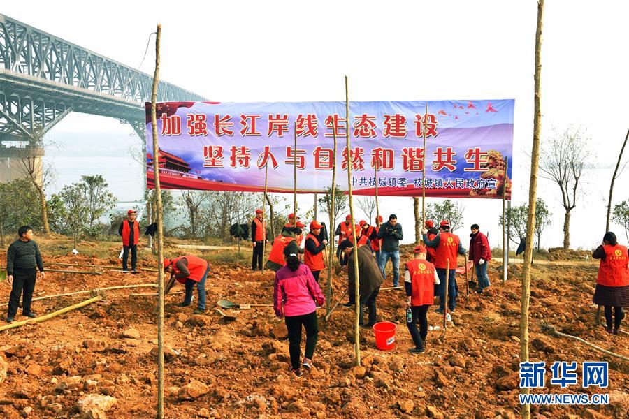 (在習(xí)近平新時(shí)代中國特色社會(huì)主義思想指引下——新時(shí)代新作為新篇章·圖文互動(dòng))(2)湖北枝城鎮(zhèn):片區(qū)黨建助推鄉(xiāng)村全面振興