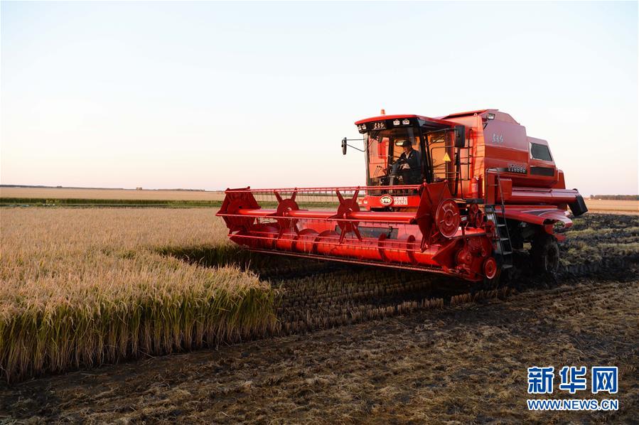 (新華全媒頭條·圖文互動(dòng))(1)情系黑土地——習(xí)近平總書記考察東北三省回訪記