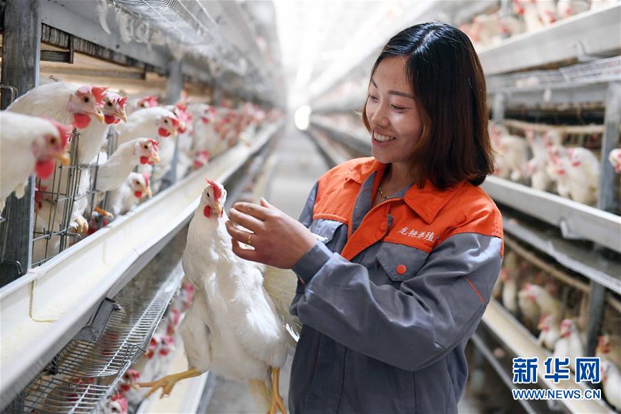 (新華全媒頭條·圖文互動)(1)希望灑在金色田野——寫在鄉(xiāng)村振興戰(zhàn)略實(shí)施一周年之際