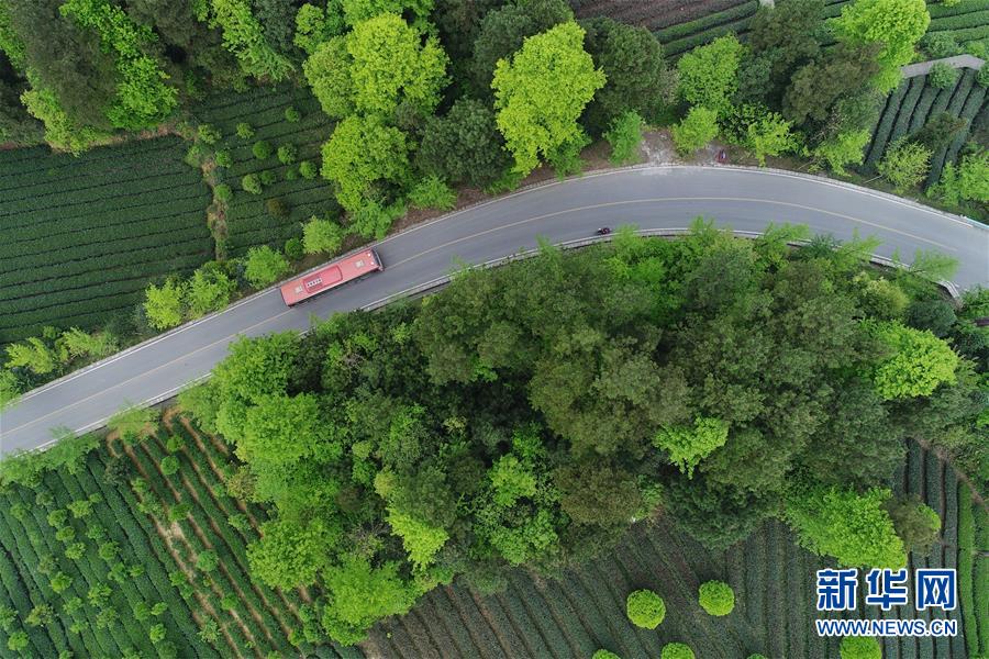 (新華全媒頭條·圖文互動)(6)希望灑在金色田野——寫在鄉(xiāng)村振興戰(zhàn)略實(shí)施一周年之際