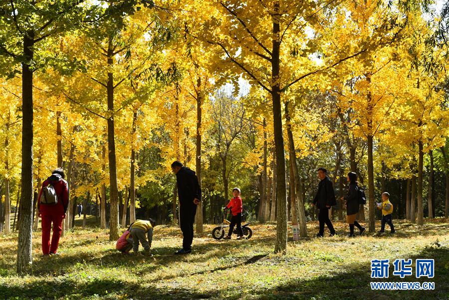 (百城百縣百企調(diào)研行·圖文互動(dòng))(2)生態(tài) 文明 宜居——北京城市副中心未來之城正在崛起