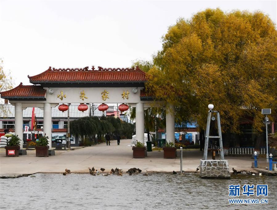 (百城百縣百企調研行·圖文互動)(4)瞧瞧這些村咋富起來的——黑龍江省牡丹江市發(fā)展特色精品農業(yè)促農增收