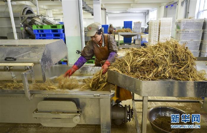 （百城百縣百企調(diào)研行&middot;圖文互動）（5）吉林集安：邊陲&ldquo;綠色明珠&rdquo;為何如此閃亮？