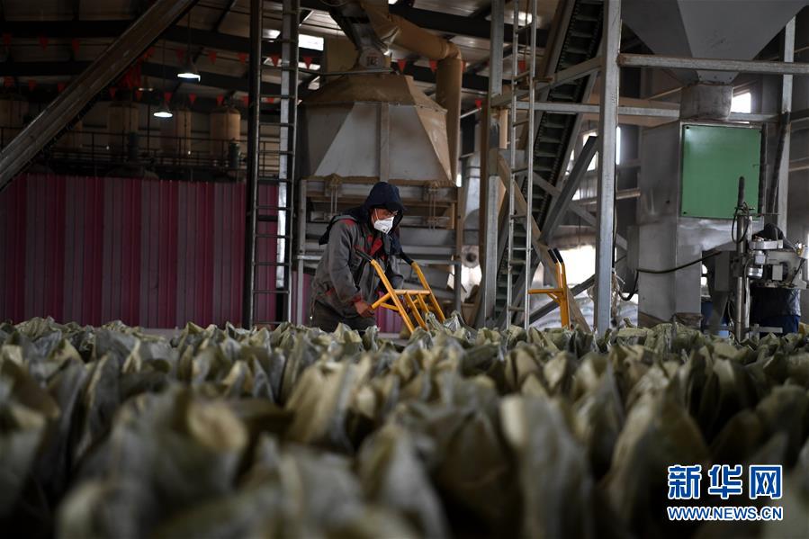 （在習(xí)近平新時(shí)代中國特色社會(huì)主義思想指引下&mdash;&mdash;新時(shí)代新氣象新作為&middot;鄉(xiāng)村振興戰(zhàn)略&middot;圖文互動(dòng)）（1）&ldquo;與其放火，不如打包&rdquo;&mdash;&mdash;山西渾源秸稈綜合再利用見聞