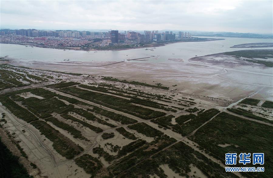 （新華視點(diǎn)&middot;圖文互動(dòng)）（1）福建10名黨員干部被問責(zé)的背后：7部門十余次執(zhí)法未能有效制止泉州灣濕地圍墾行為