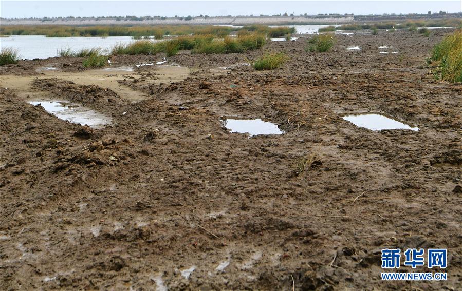 （新華視點(diǎn)&middot;圖文互動(dòng)）（2）福建10名黨員干部被問責(zé)的背后：7部門十余次執(zhí)法未能有效制止泉州灣濕地圍墾行為