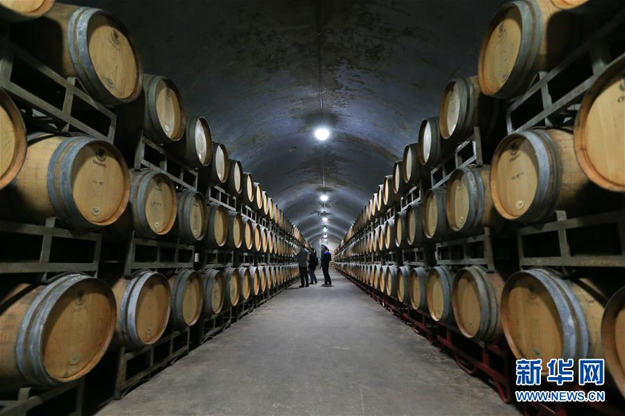 (百城百縣百企調(diào)研行·圖文互動)(7)“藍鯨1號”從這里駛出——山東煙臺崛起制造業(yè)高地