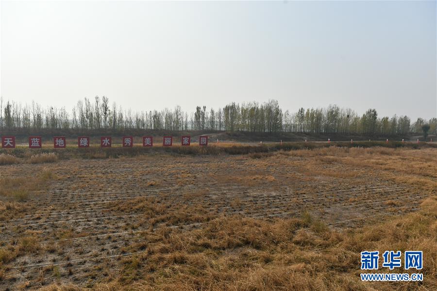 (在習(xí)近平新時代中國特色社會主義思想指引下·慶祝改革開放40周年·綠色發(fā)展)(新華全媒頭條·圖文互動)(6)綠色發(fā)展:書寫在中國大地上的美麗畫卷