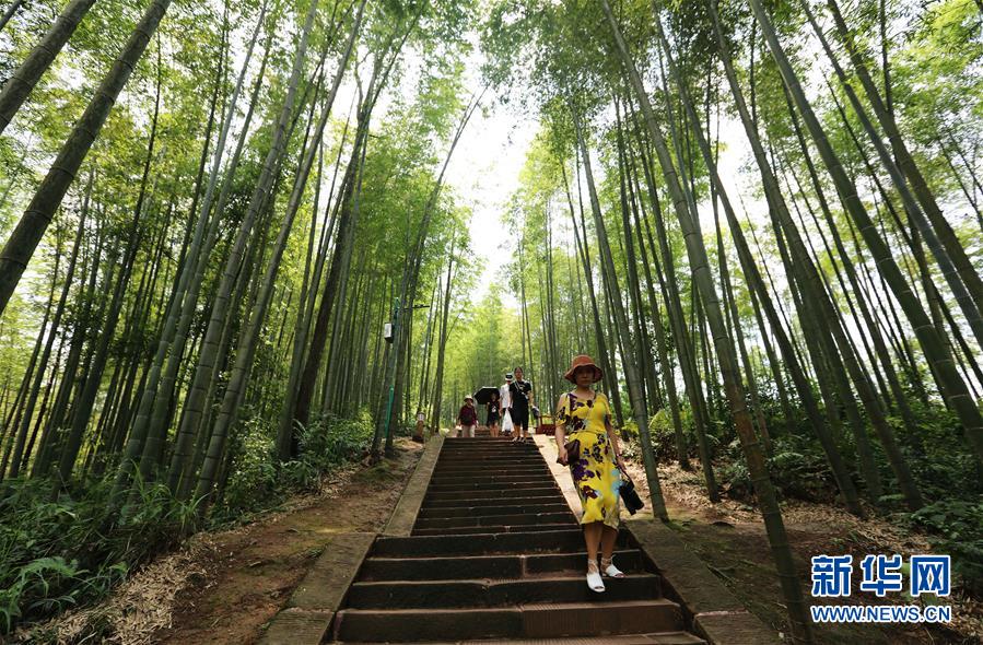 (在習(xí)近平新時(shí)代中國(guó)特色社會(huì)主義思想指引下·慶祝改革開放40周年·綠色發(fā)展·圖文互動(dòng))(1)向陽花木易為春——綠色發(fā)展之“木”的故事