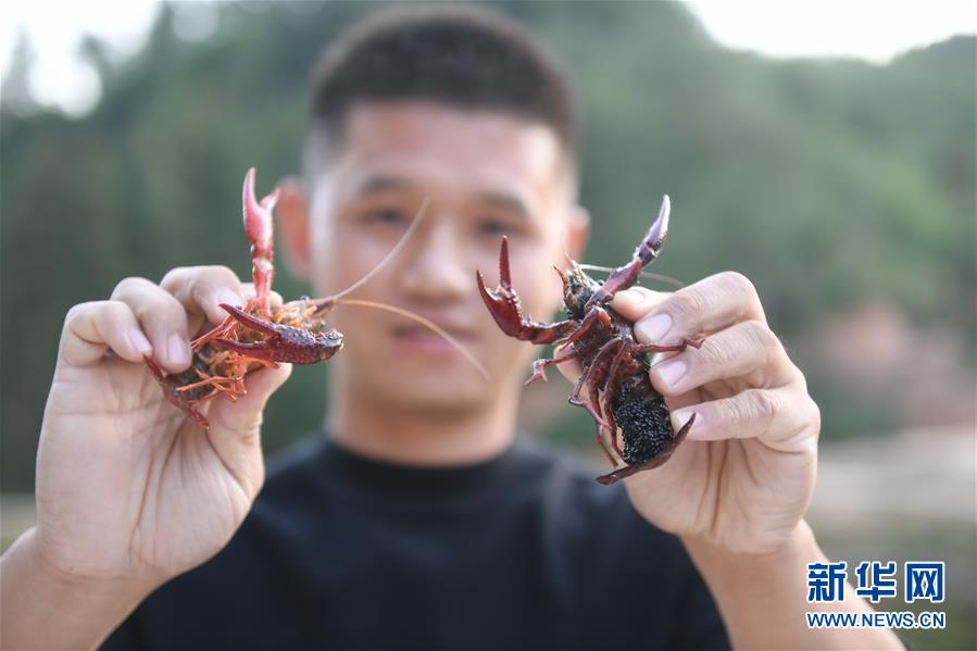 （在習(xí)近平新時(shí)代中國(guó)特色社會(huì)主義思想指引下&middot;慶祝改革開(kāi)放40周年&middot;綠色發(fā)展&middot;圖文互動(dòng)）（2）吹盡狂沙始到金&mdash;&mdash;綠色發(fā)展之&ldquo;金&rdquo;的故事